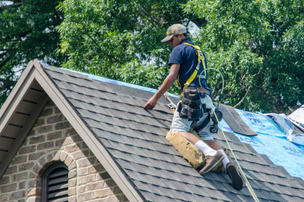 Professional Roofing Contractor in Humboldt, IA